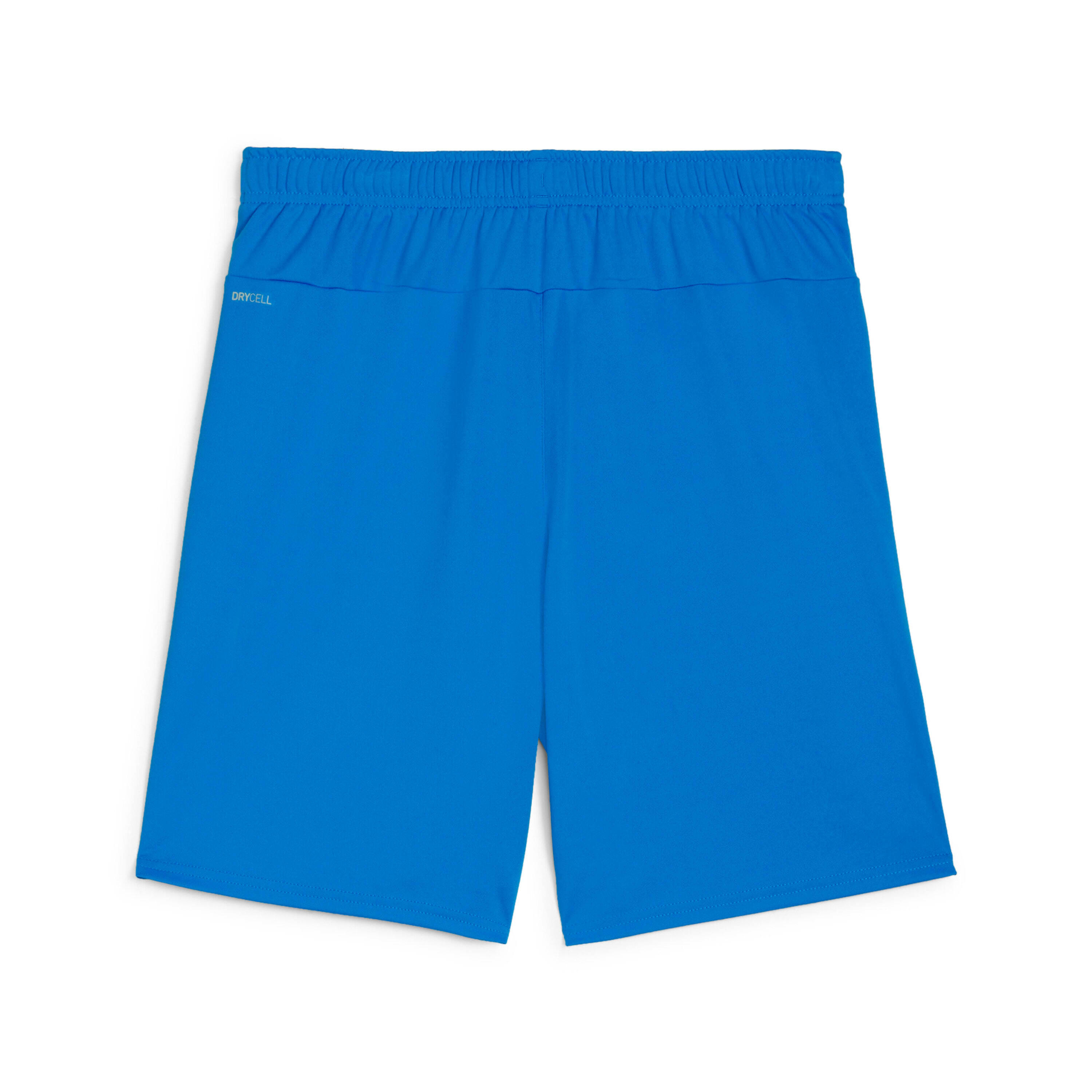 Short Puma TeamGloal 2/2