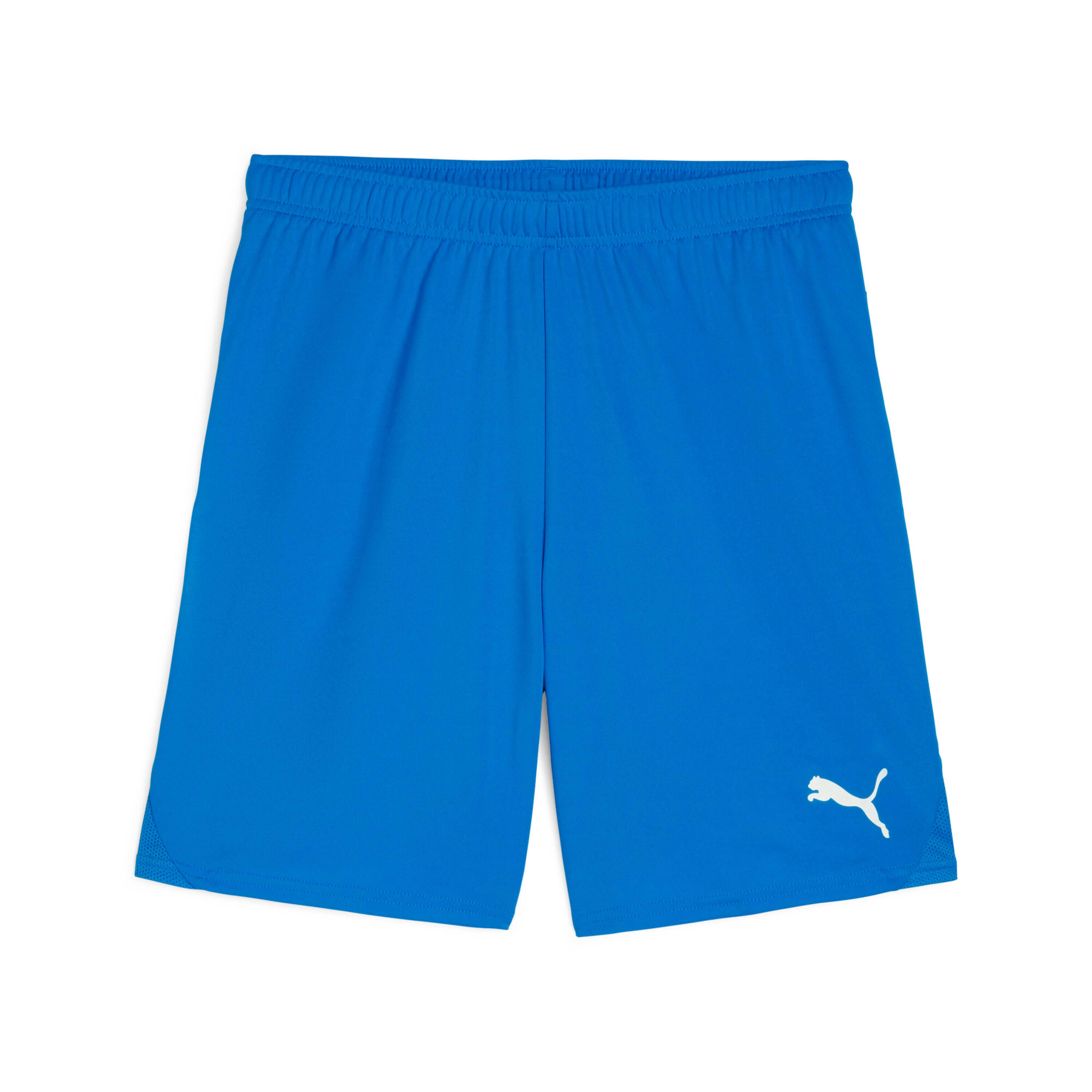 PUMA Short Puma TeamGloal