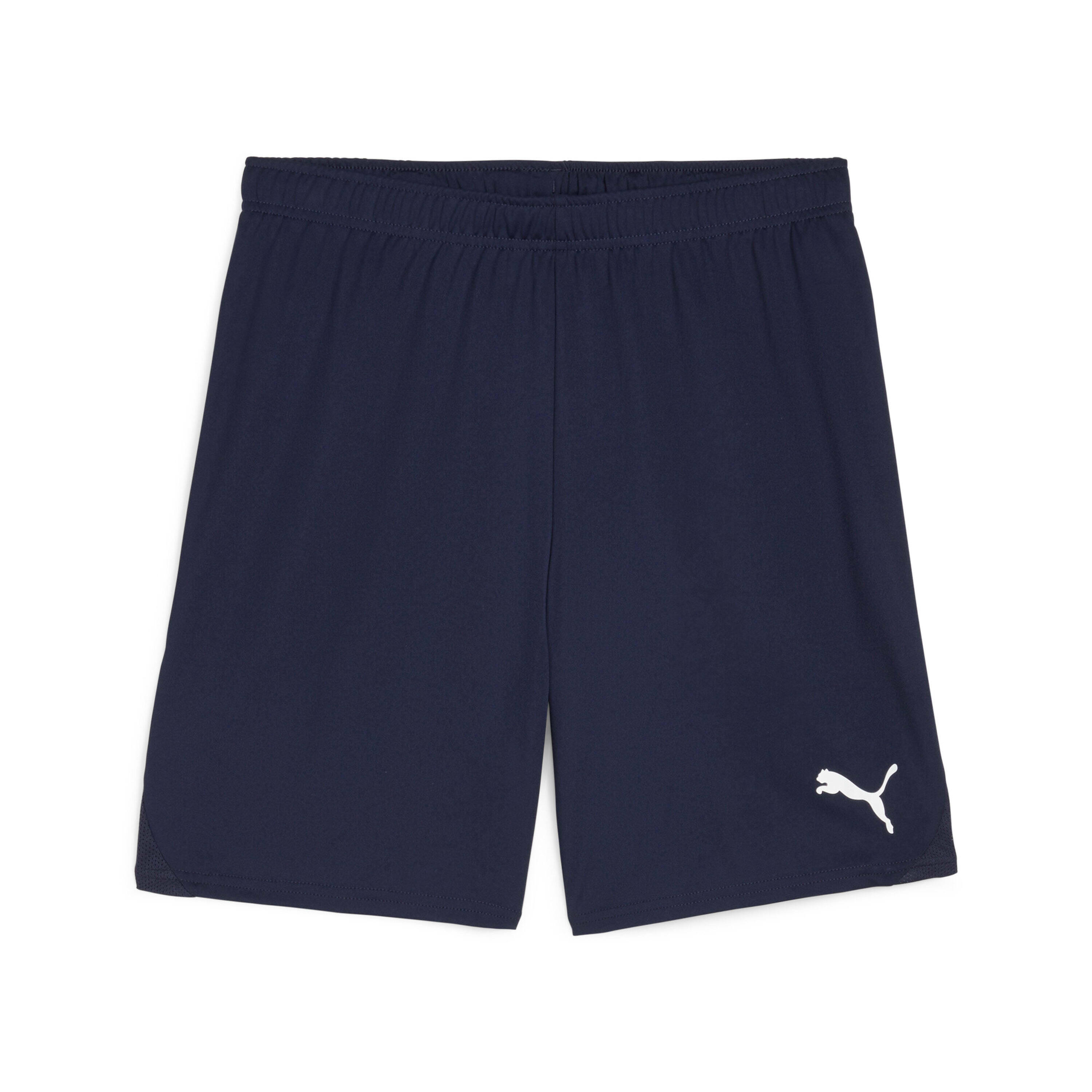 PUMA Short Puma TeamGloal