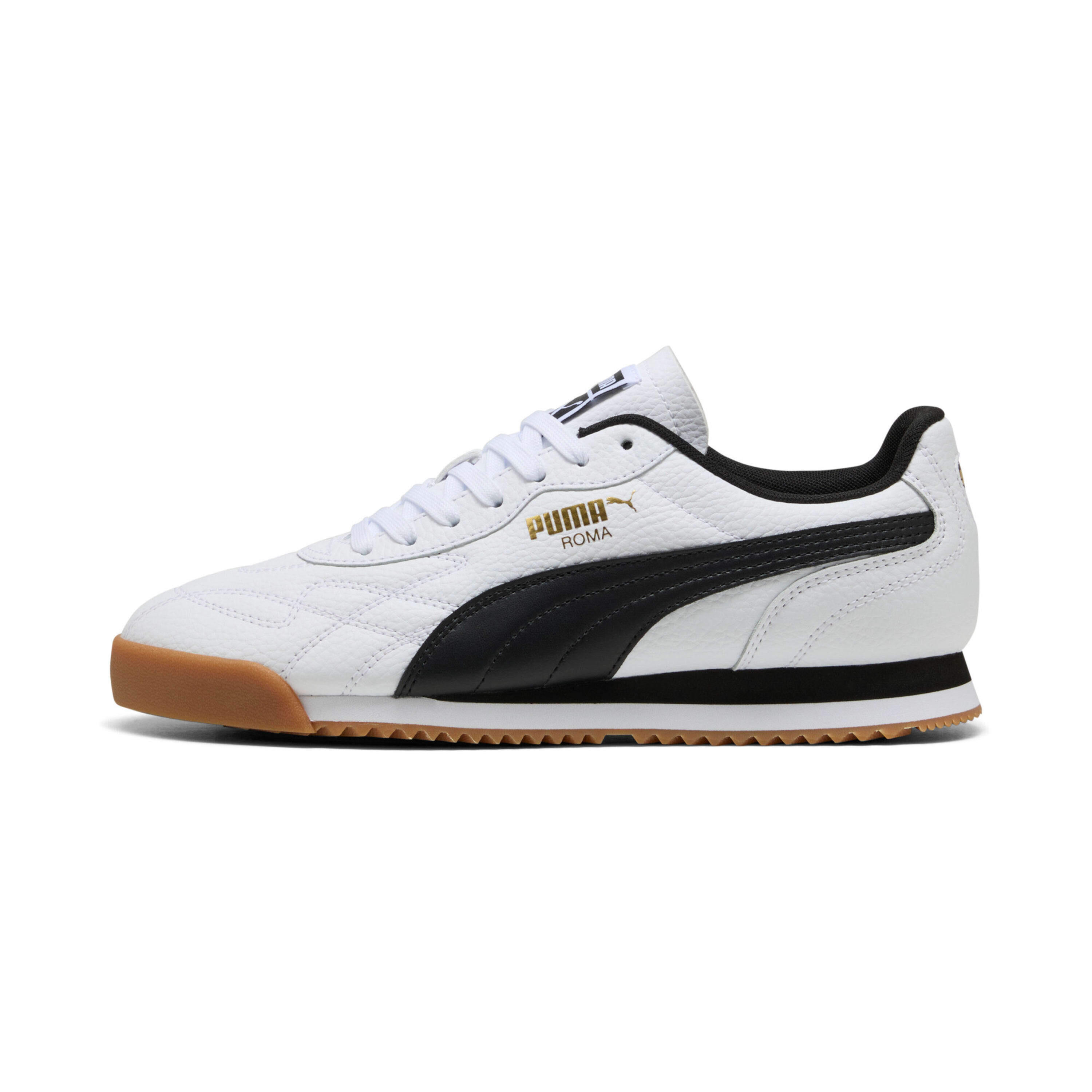 PUMA picture