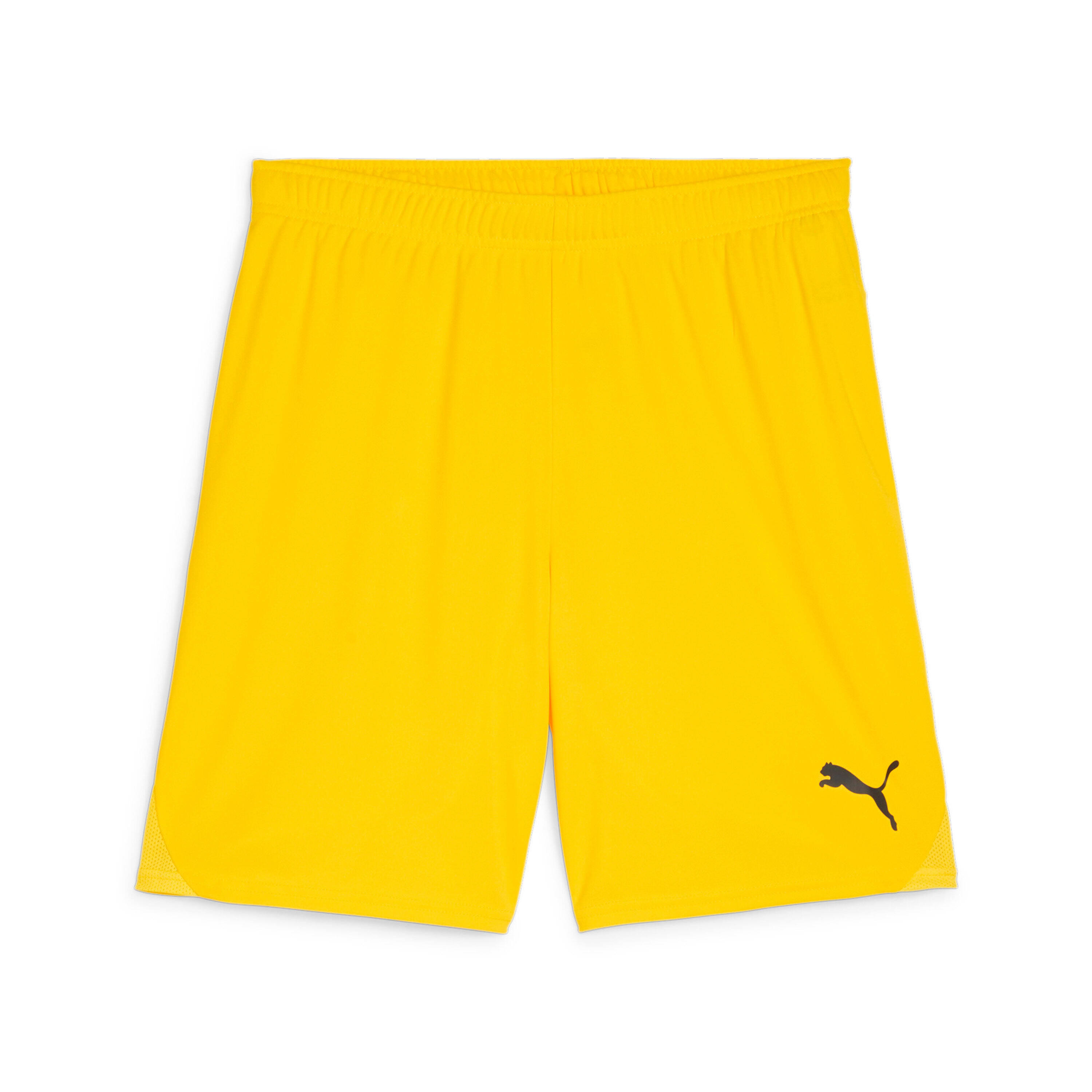 PUMA Short Puma TeamGloal