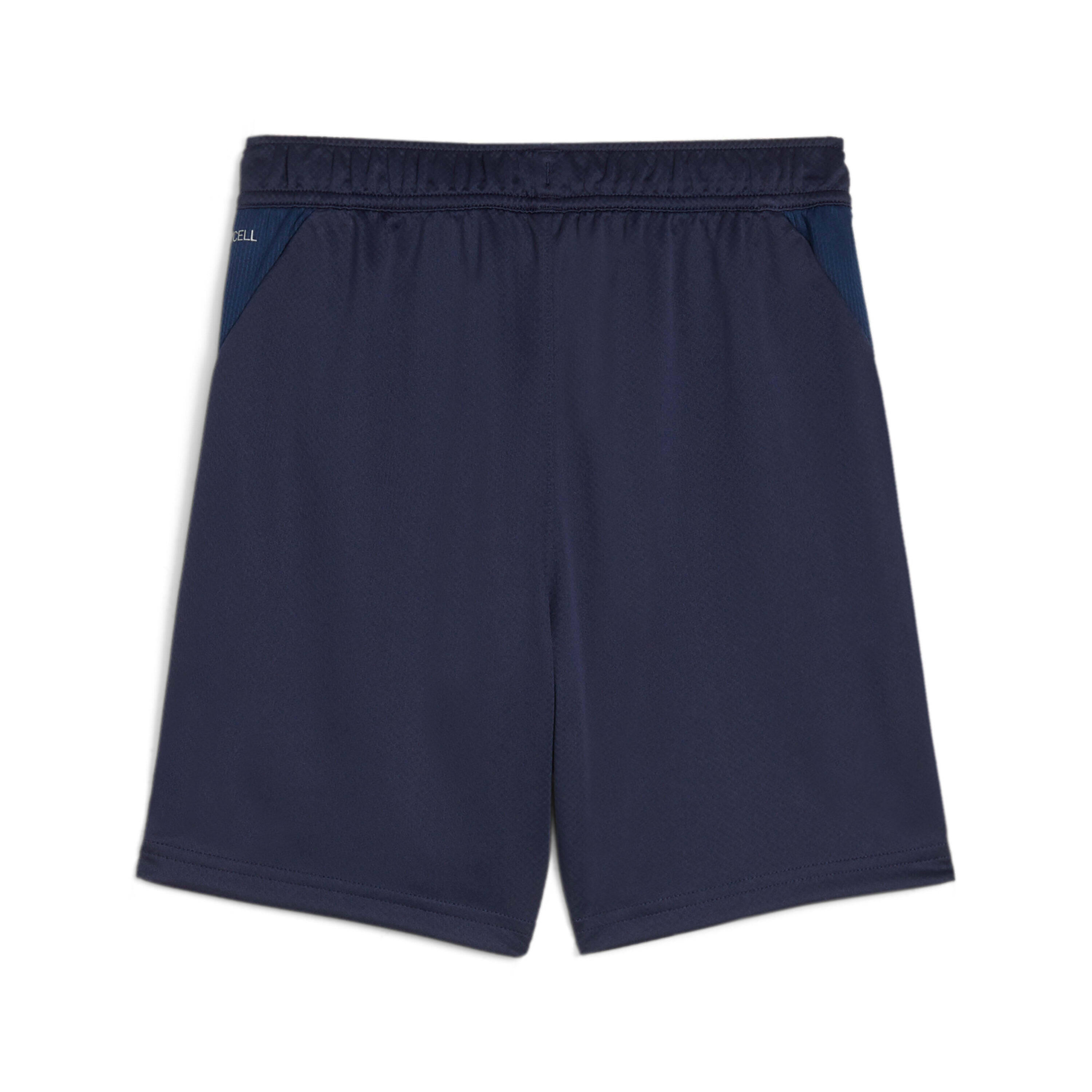 Short per bambini Puma TeamGOAL 2/2