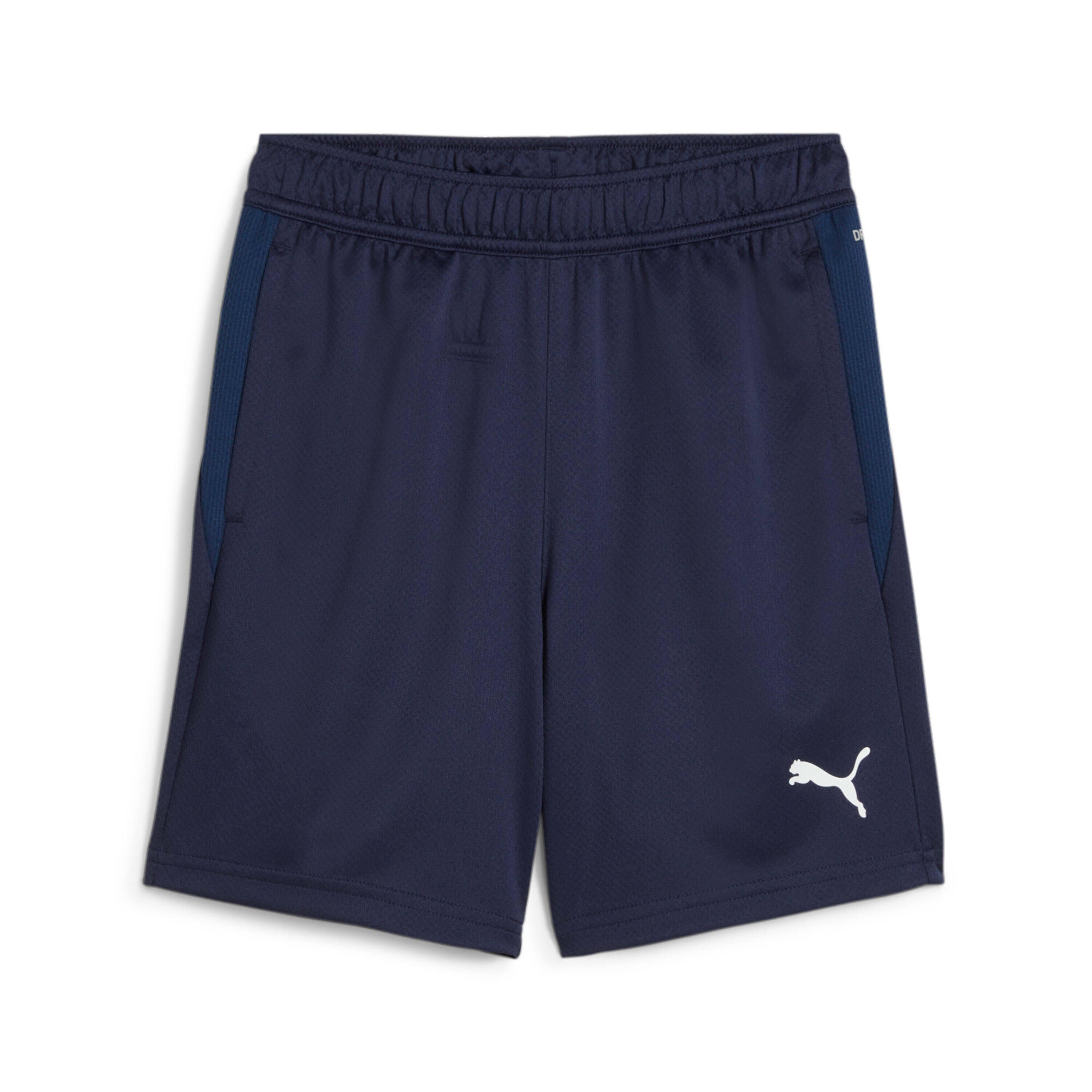 PUMA Children's shorts Puma TeamGOAL