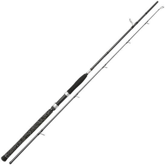 Canna SP1NNING Legion Cat Silver Spin 2.40mt 40-160gr