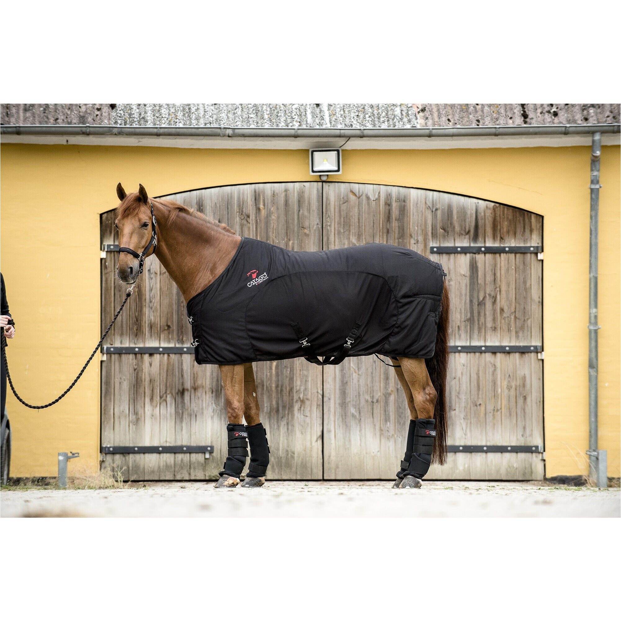 Manta polar para caballos Catago FIR-Tech 6/7