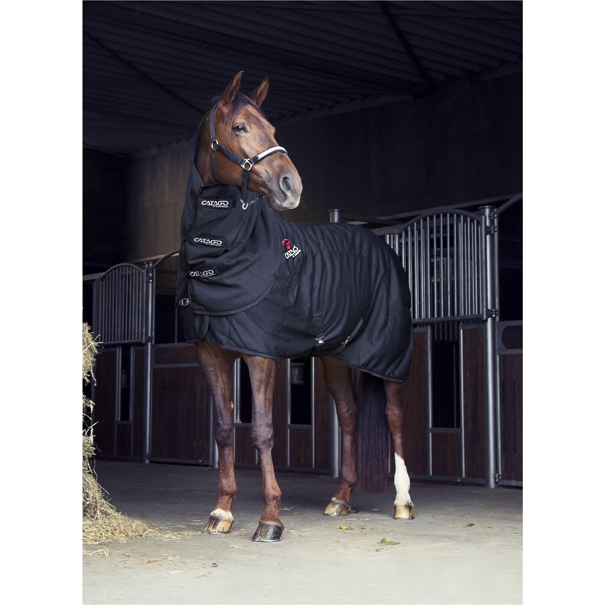 Manta polar para caballos Catago FIR-Tech 7/7