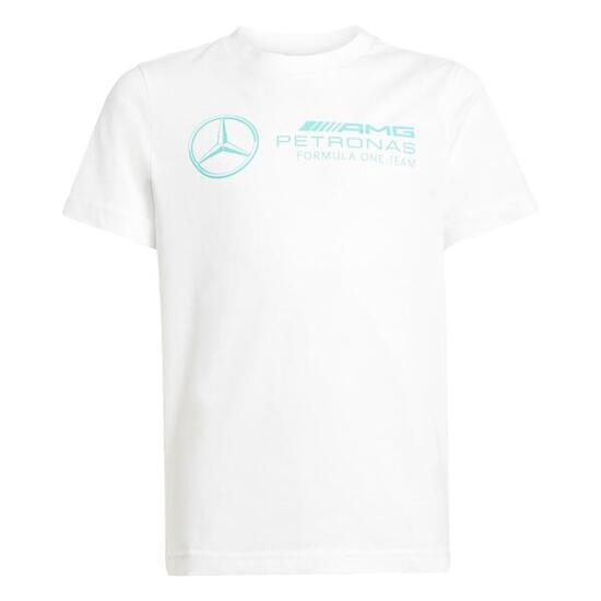 MERCEDES - AMG PETRONAS FORMULA ONE TEAM DNA GRAPHIC T-SHIRT
