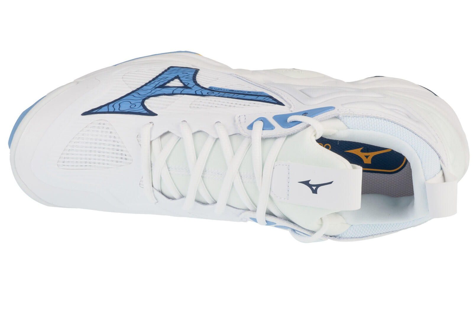 Volleybalschoenen Unisex  Wave Momentum 3 4/5