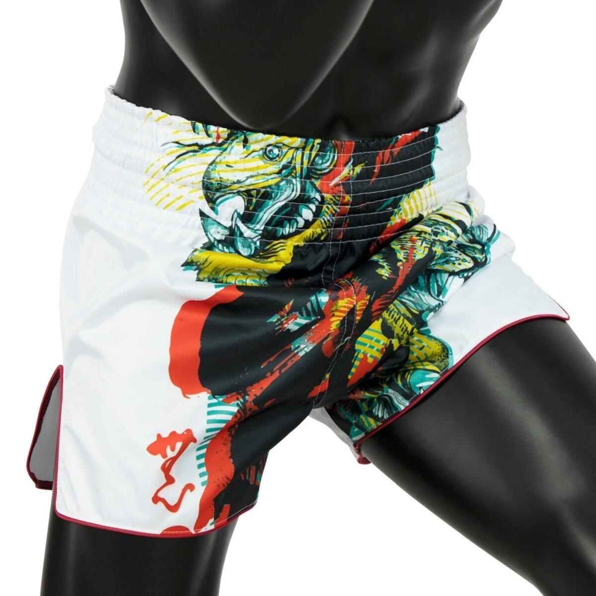 Muay Thai Shorts Fairtex Satoru's collection 4/4