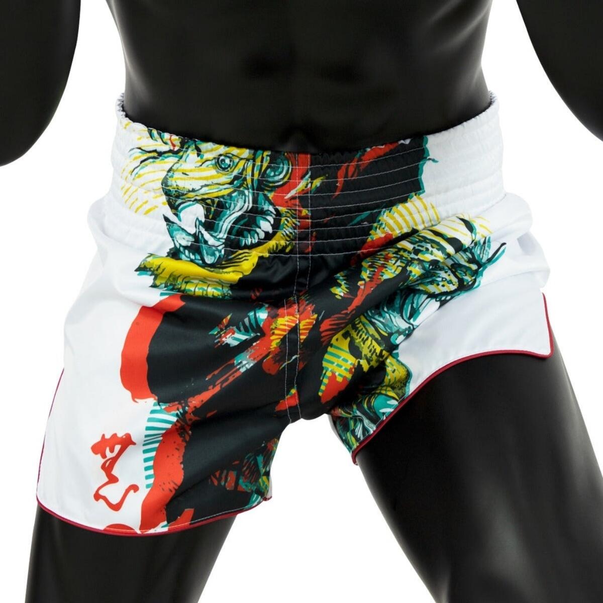 Muay Thai Shorts Fairtex Satoru's collection 3/4