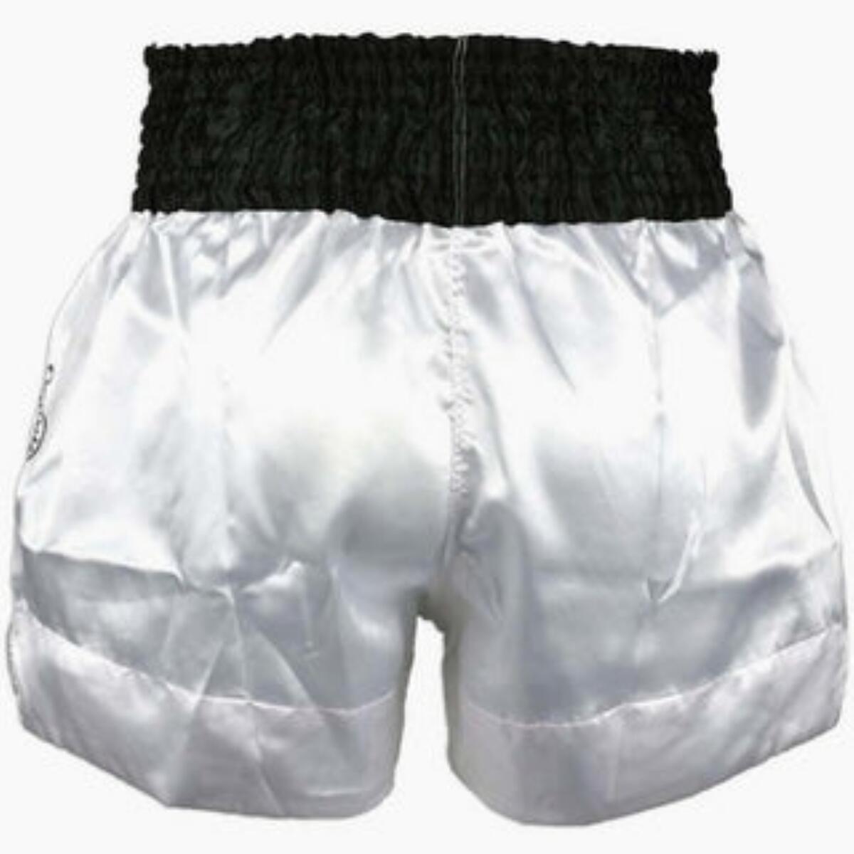 Muay Thai Shorts Fairtex Thai Talisman 4/4