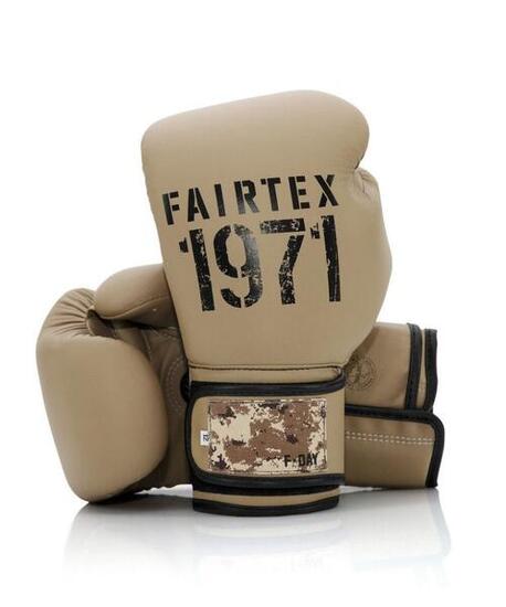 Boxing gloves Fairtex BGV25 F-Day 2