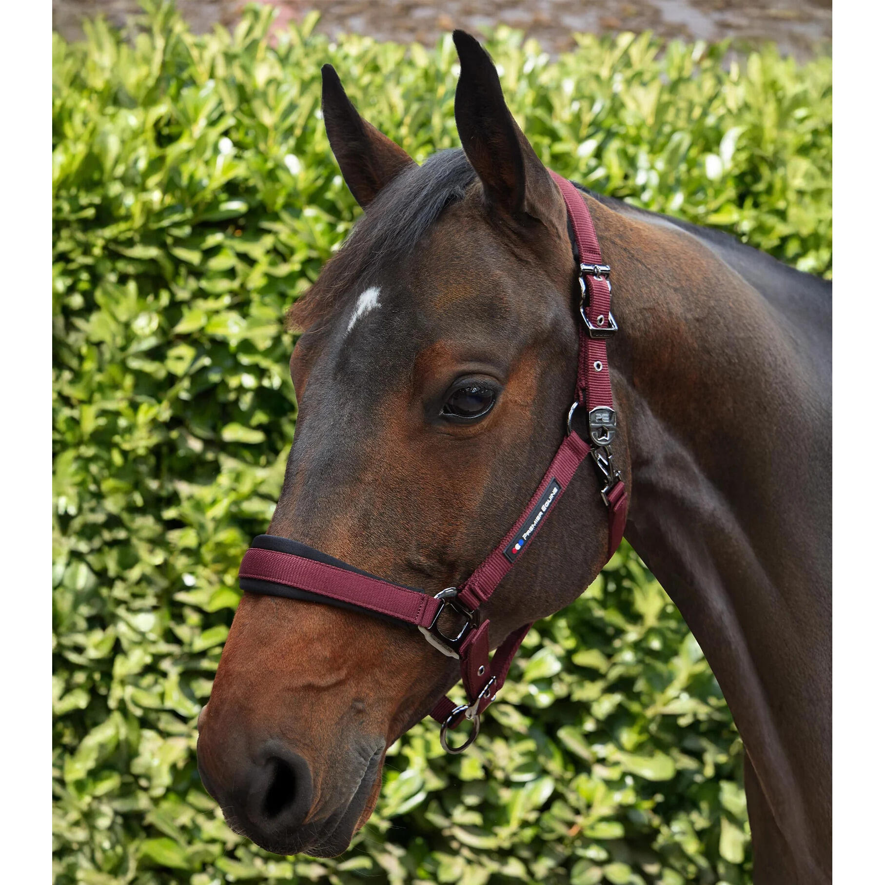 Nylon halster voor paard Premier Equine Corda 3/6