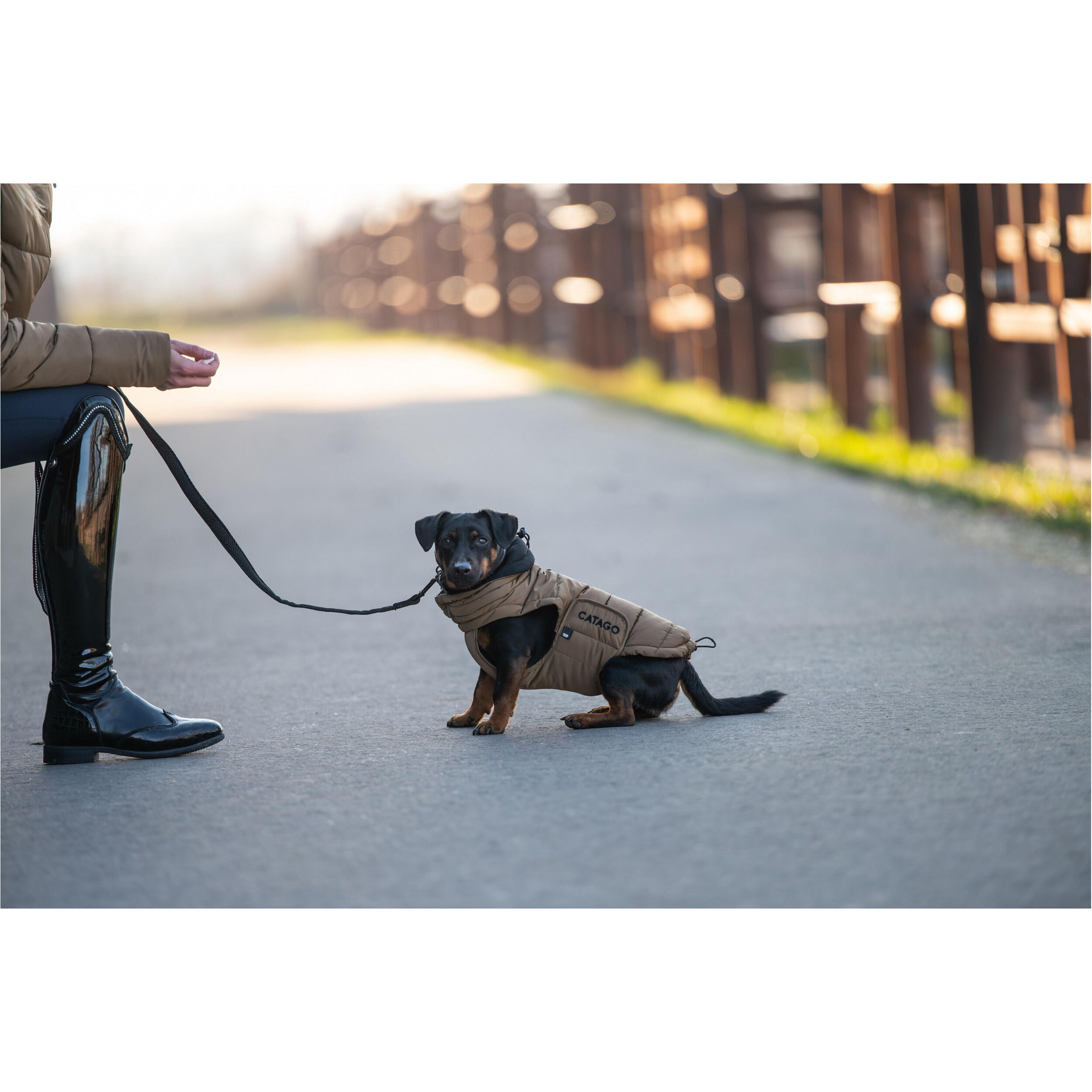 Manteau pour chien Catago FIR-Tech 3/5