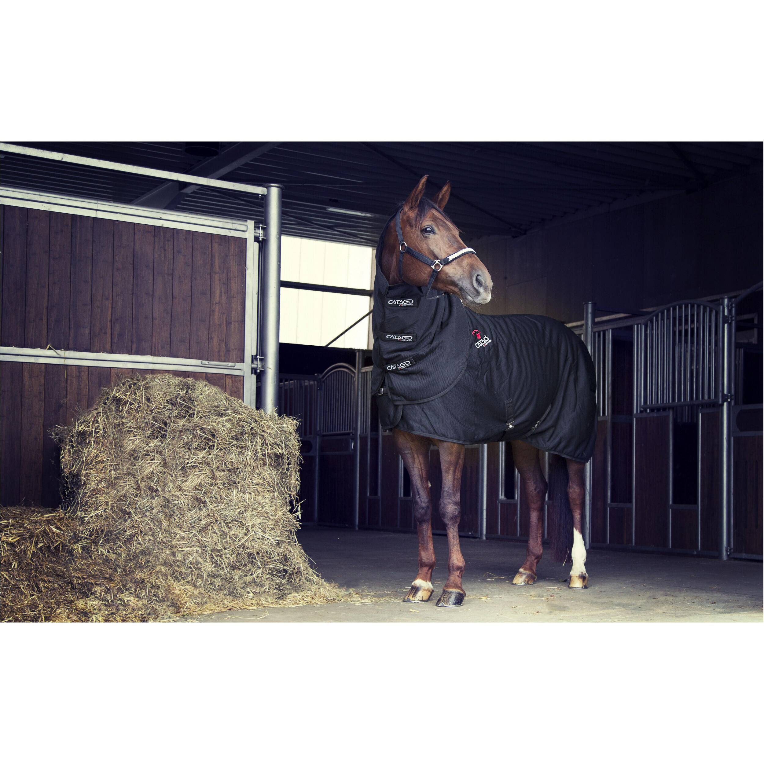 Halsteil Catago FIR-Tech 3/3