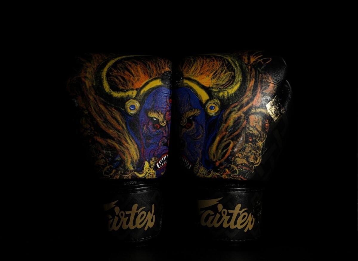 Guantoni da boxe Fairtex – Yamantaka – 14oz 5/7