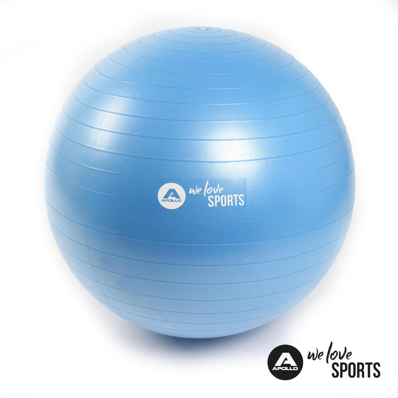 Ballon De Gym Suisse 65cm Avec Pompe - Renforcement Musculaire, Yoga, Équilibre - CampTeck