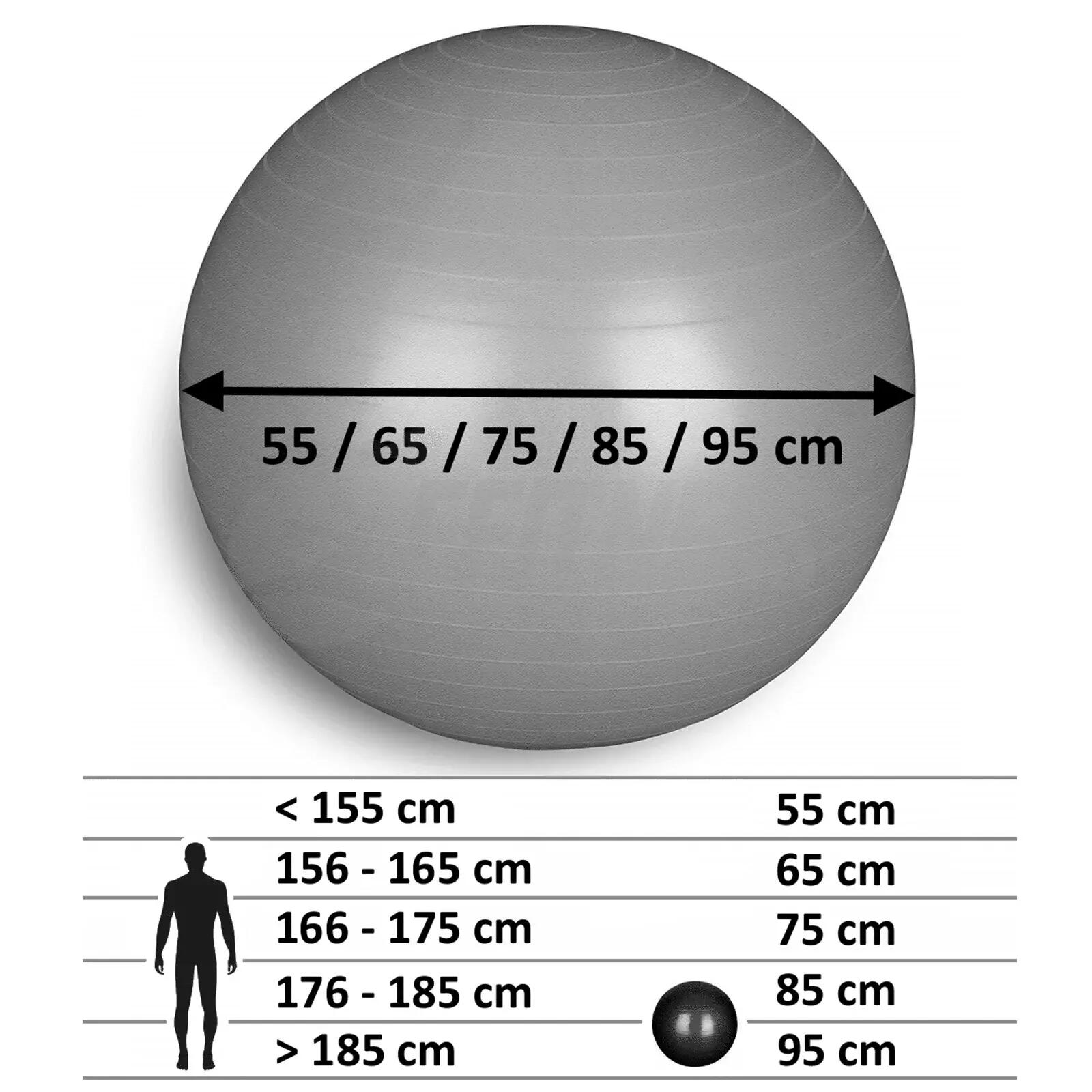 Ballon de Gymnastique Pilates 55 cm FF 2/5