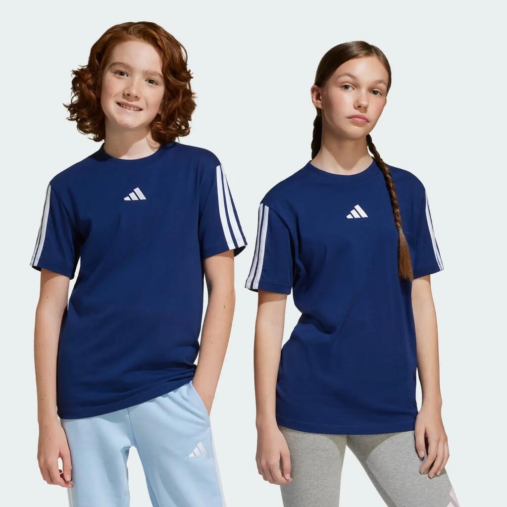 BLUE / WHITE