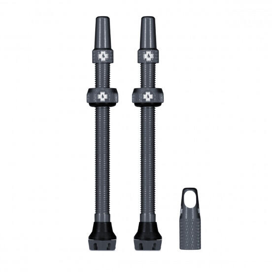 Kit of Tubeless V2 valves (pair) 80mm Gray