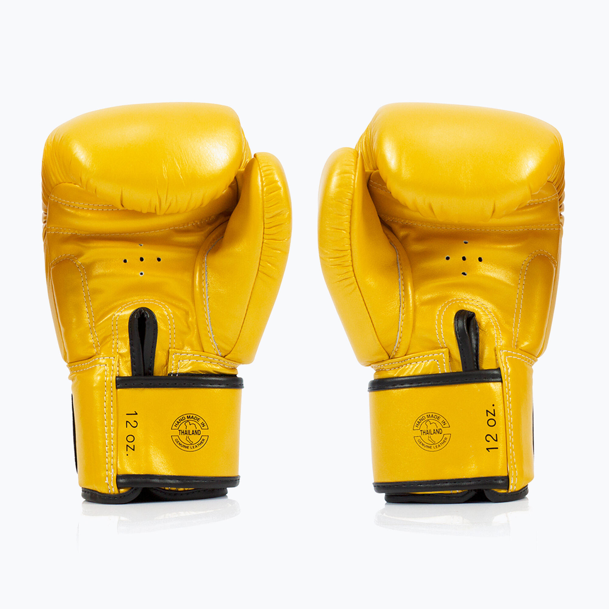 Boxing gloves Fairtex BGV19 Deluxe 2/5