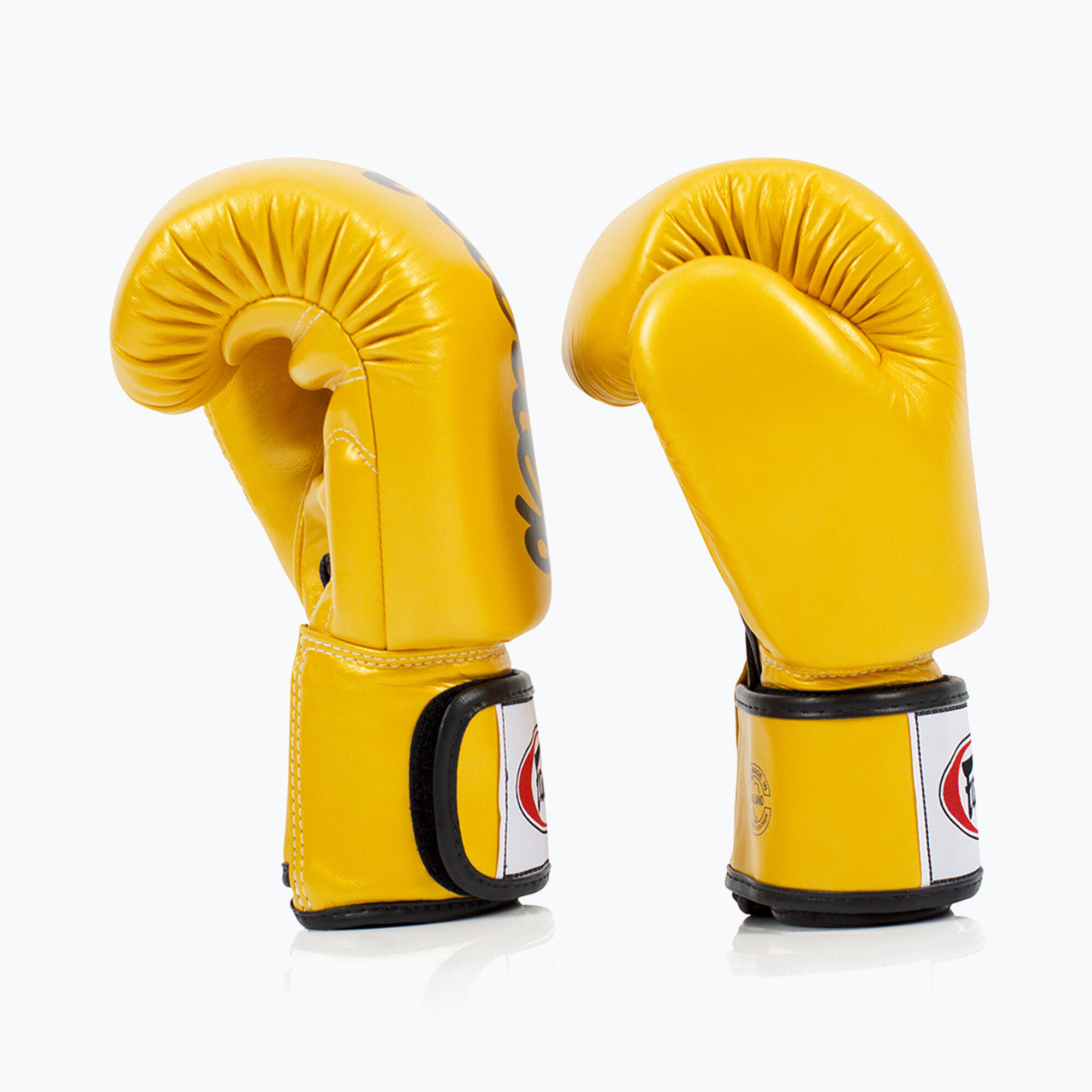 Boxing gloves Fairtex BGV19 Deluxe 3/5