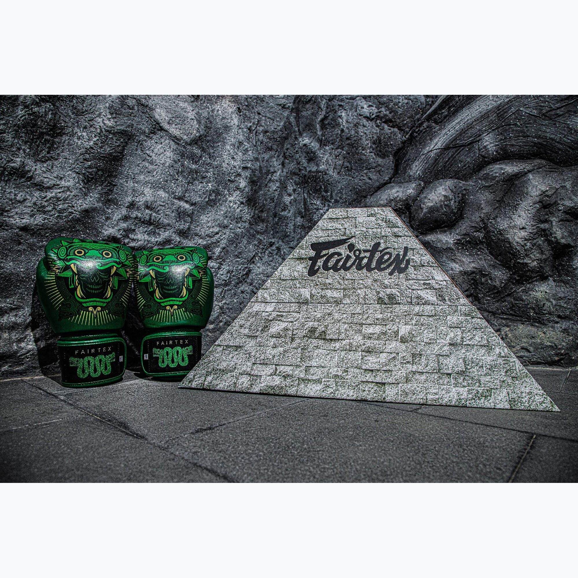Gants de boxe Fairtex X Tom Atencio Boxing Resurrection 5/5