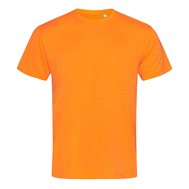 2d27f80a-efd3-42e4-a6c8-0b89b25a0133_c136