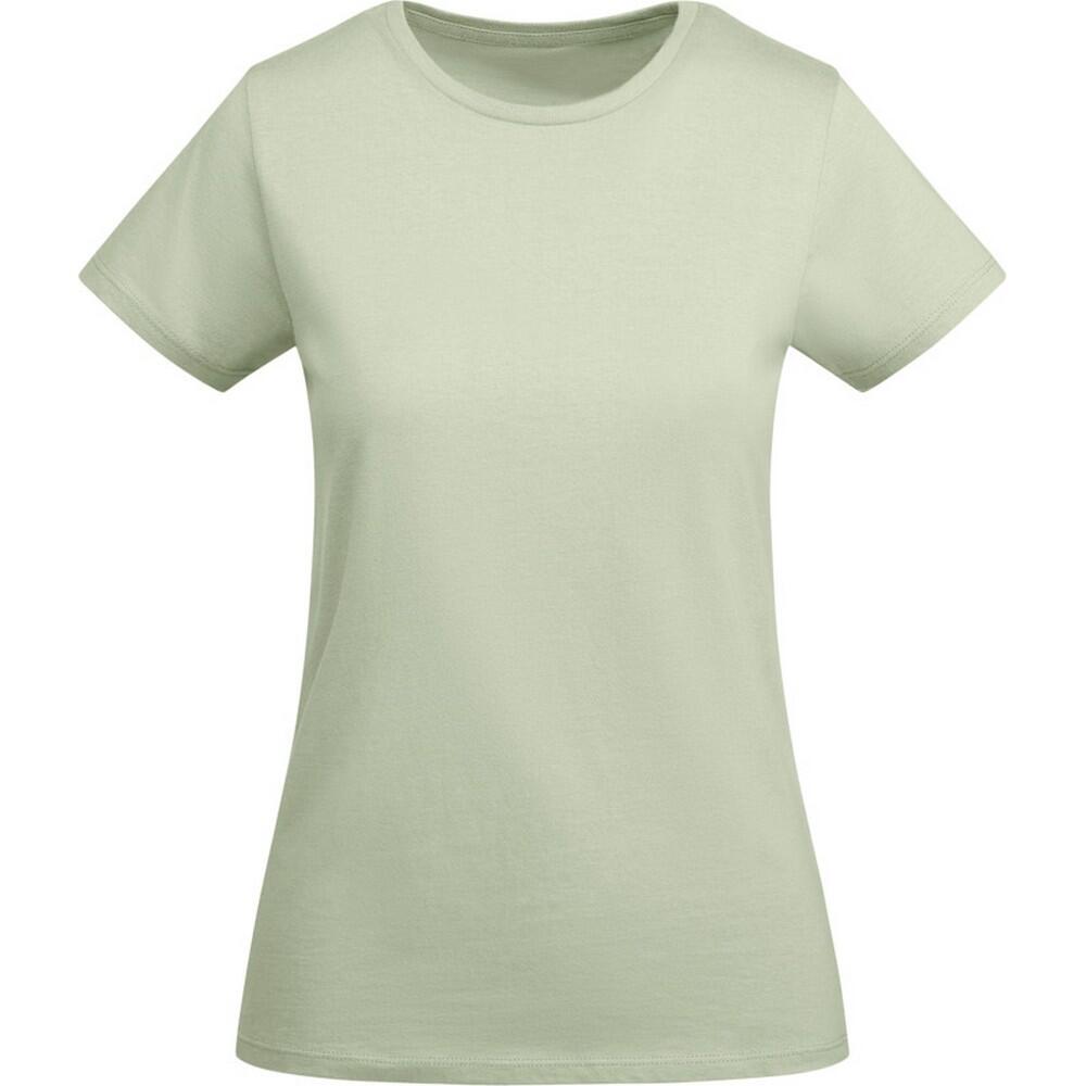 Womens/Ladies Breda ShortSleeved TShirt (Mist Green)