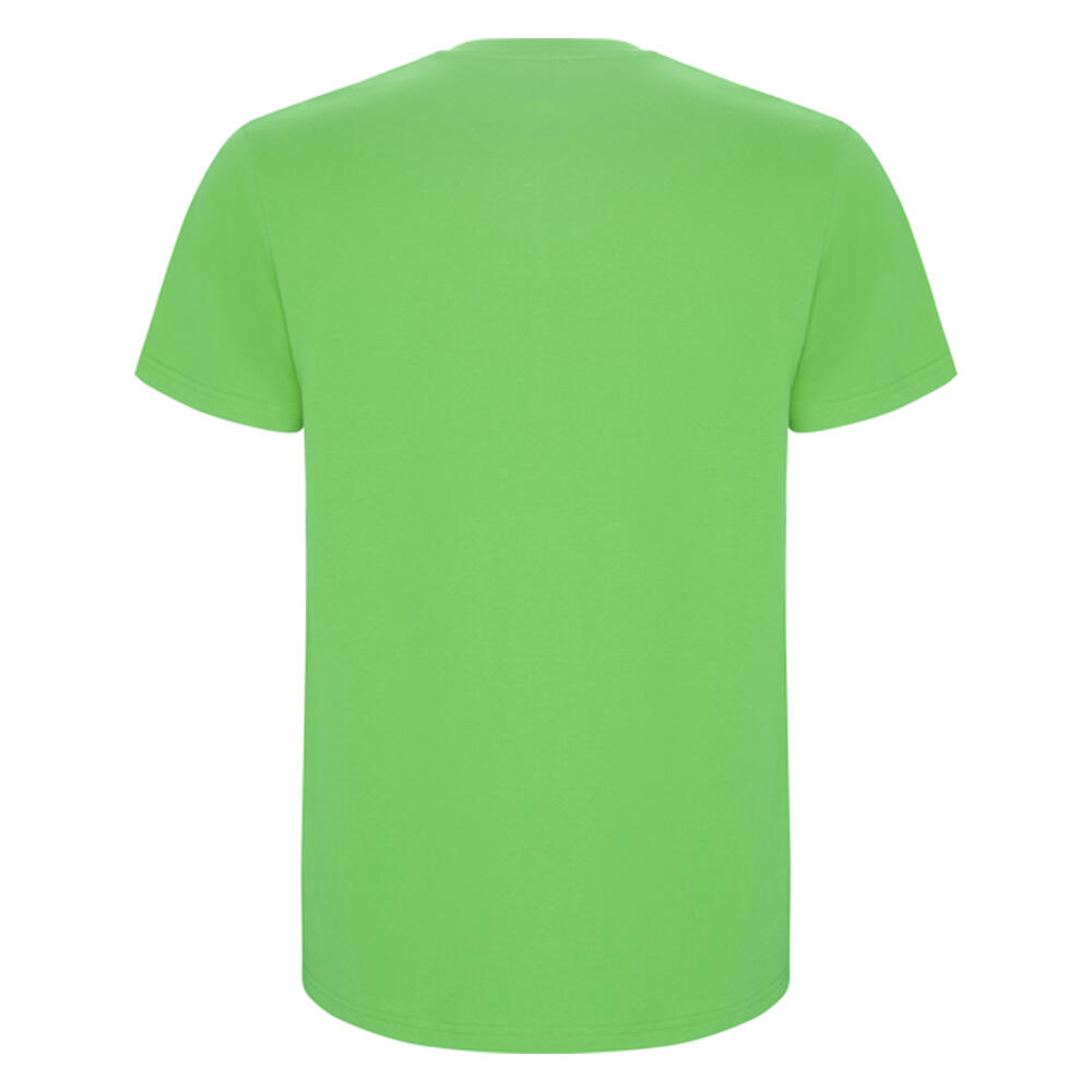 Tshirt STAFFORD Homme (Vert Kaki Vif) 2/4