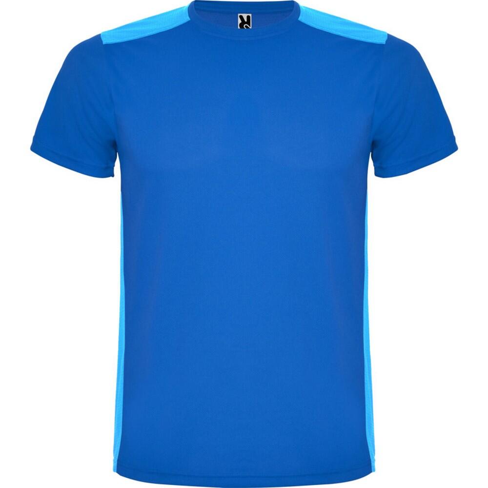 royal blue / light blue