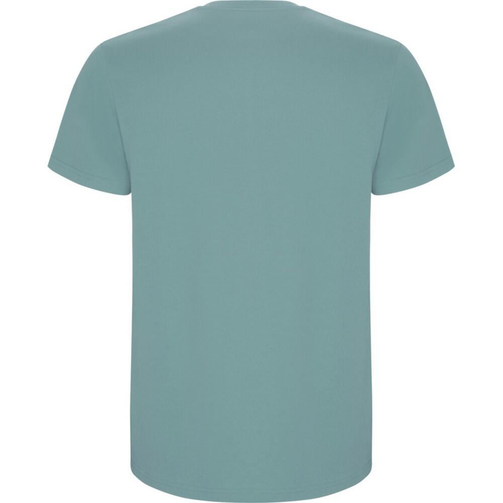Tshirt STAFFORD Homme (Vieux Bleu) 2/4