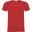 Tshirt BEAGLE Homme (Rouge)