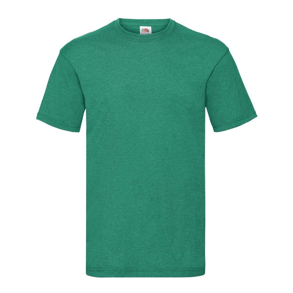 Unisex Adult Valueweight TShirt (Retro Heather Green)