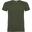 Tshirt BEAGLE Homme (Vert)