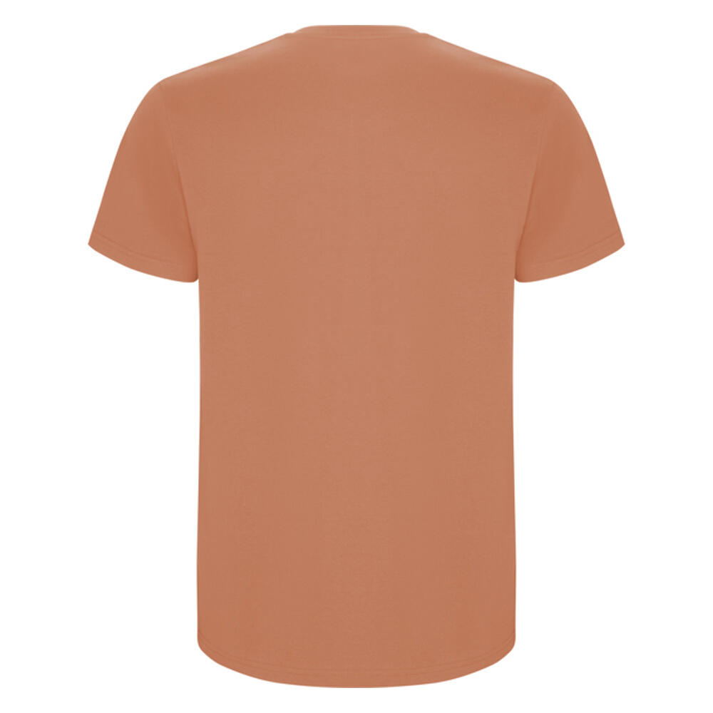 Tshirt STAFFORD Homme (Orange) 2/4