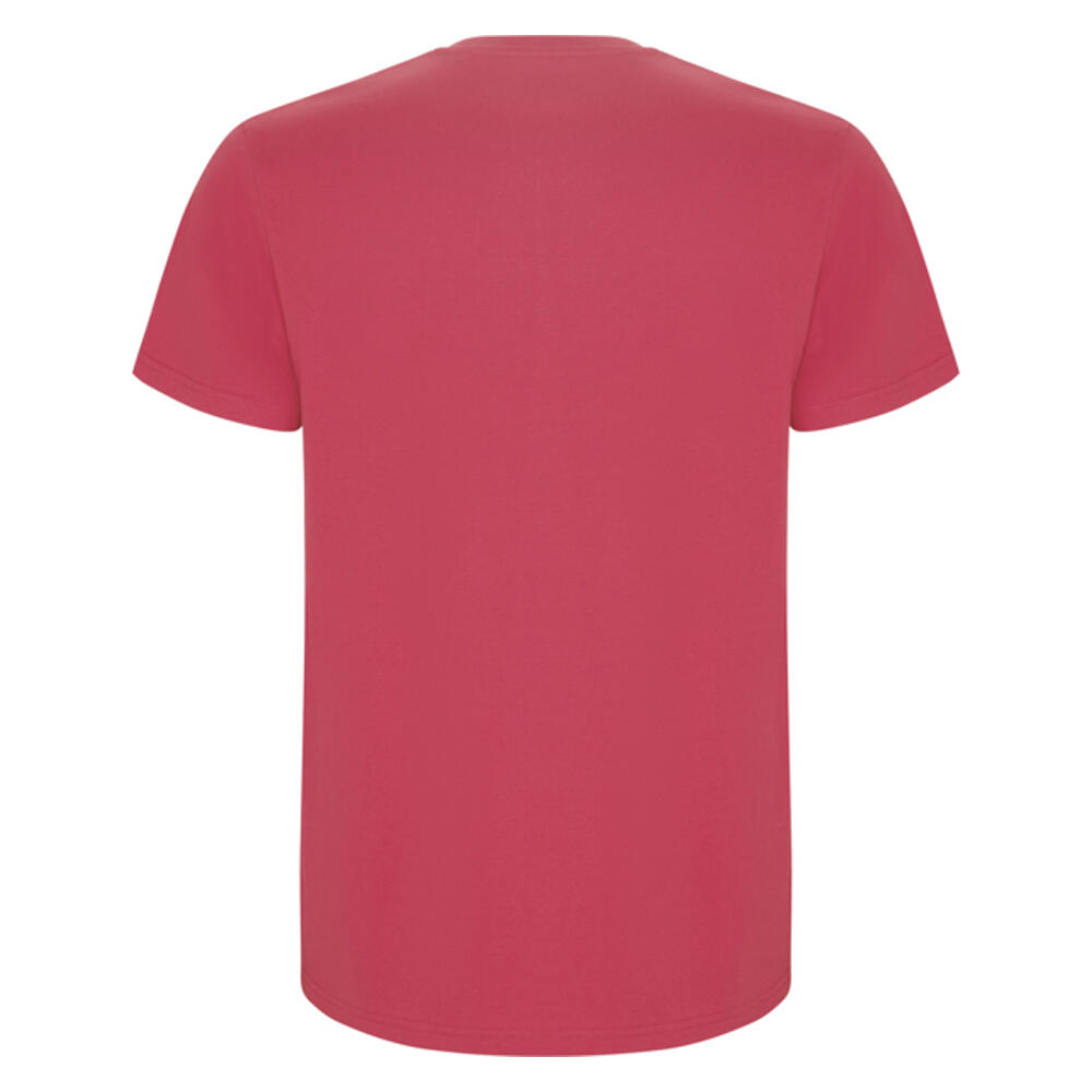 Tshirt STAFFORD Homme (Rouge Chrysanthème) 2/4