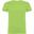 Tshirt BEAGLE Homme (Vert Kaki Vif)