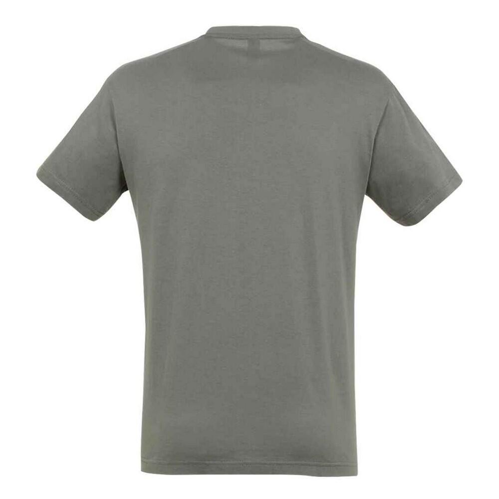 Tshirt REGENT Adulte (Zinc Uni) 2/4