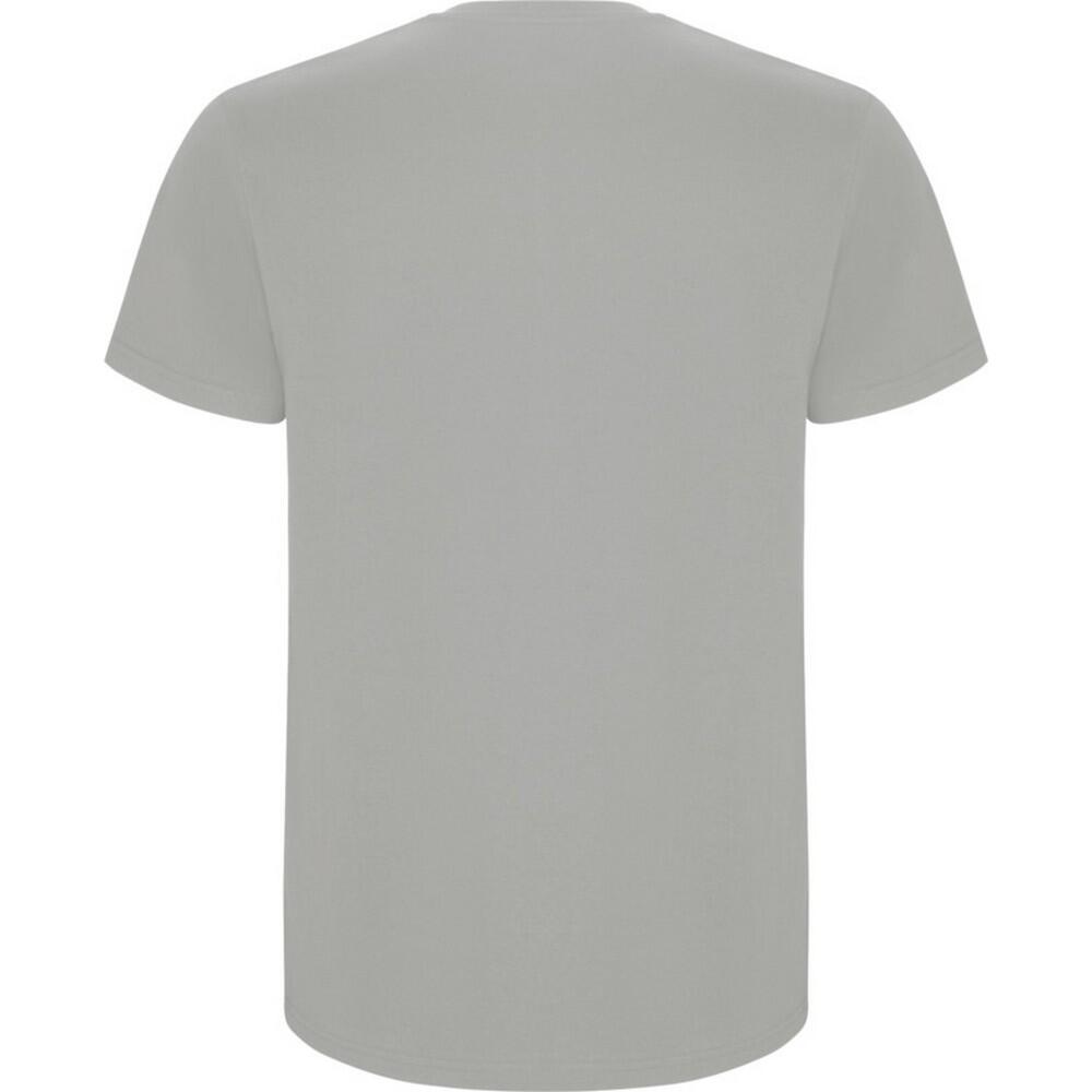 Tshirt STAFFORD Homme (Opale) 2/4
