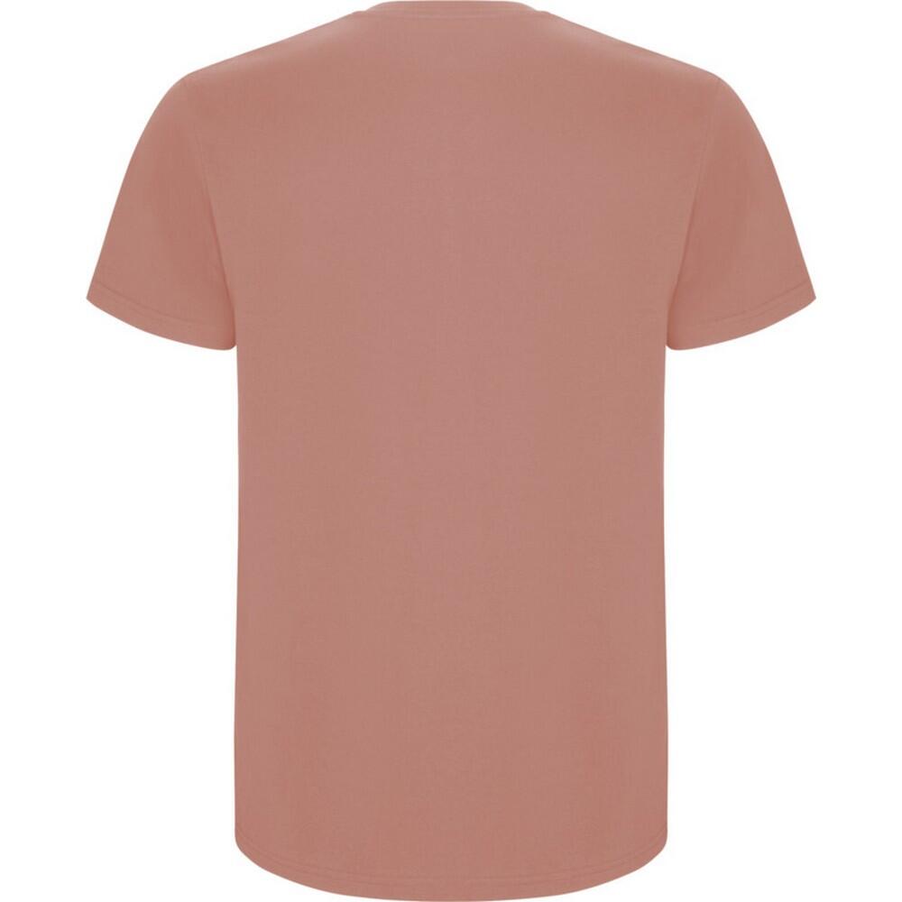 Tshirt STAFFORD Homme (Orange Argile) 2/4