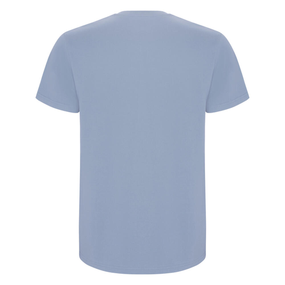 Tshirt STAFFORD Homme (Bleu Zen) 2/4