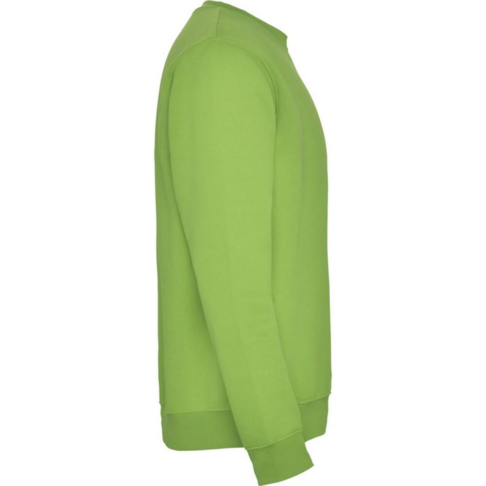 Unisex Clasica Crew Hals Sweatshirt voor volwassenen (Oase Groen) 3/4
