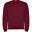 Hanorac Drumeții În Natură Roly Clasica Crew Neck Copii