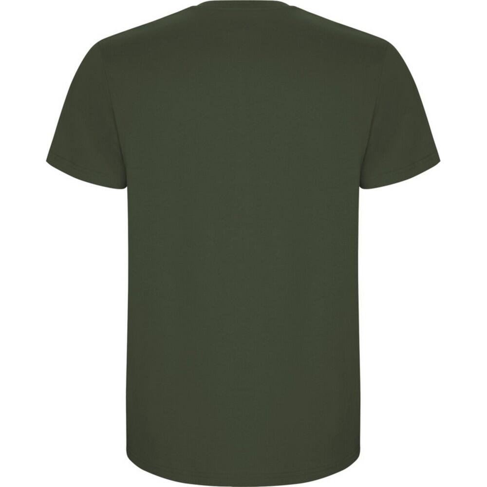 Tshirt STAFFORD Homme (Vert) 2/4