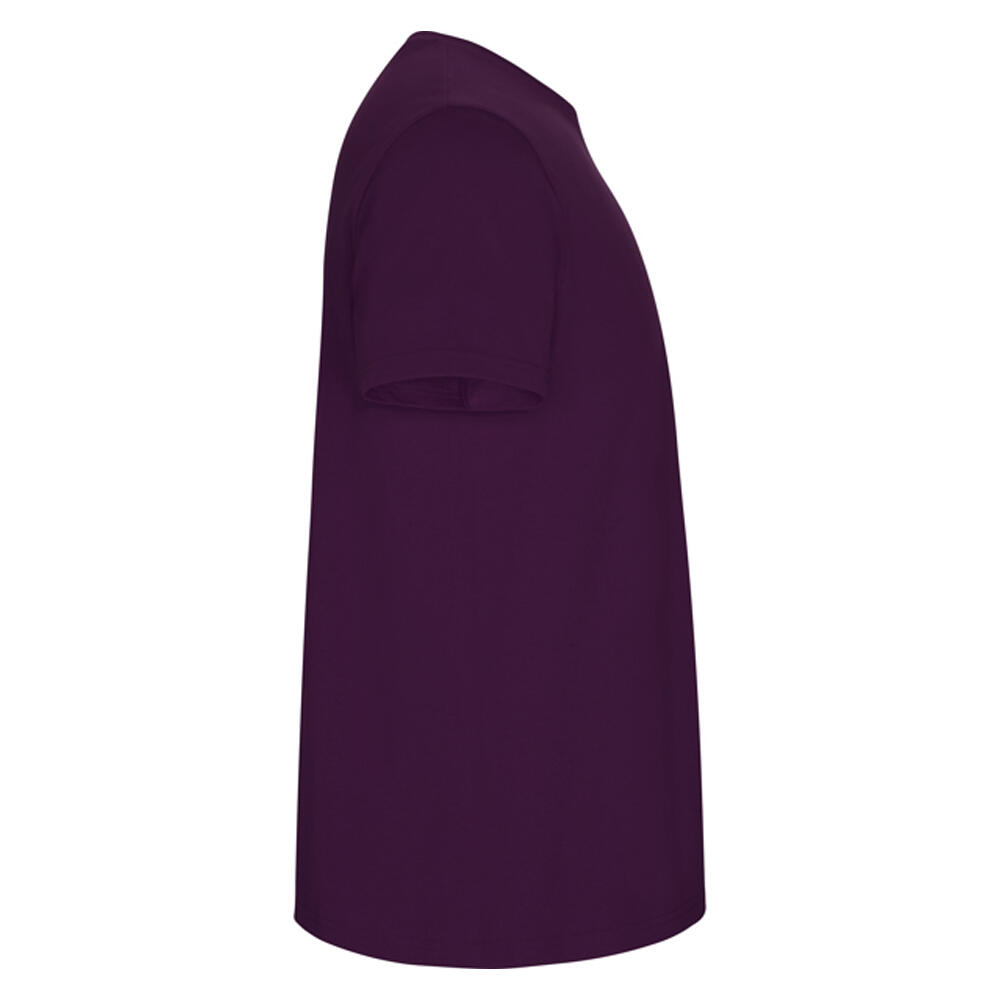 Tshirt STAFFORD Homme (Violet) 4/4