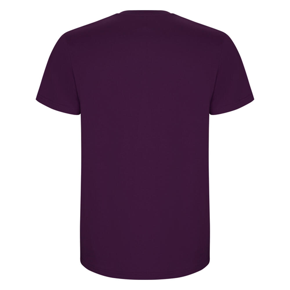 Tshirt STAFFORD Homme (Violet) 2/4