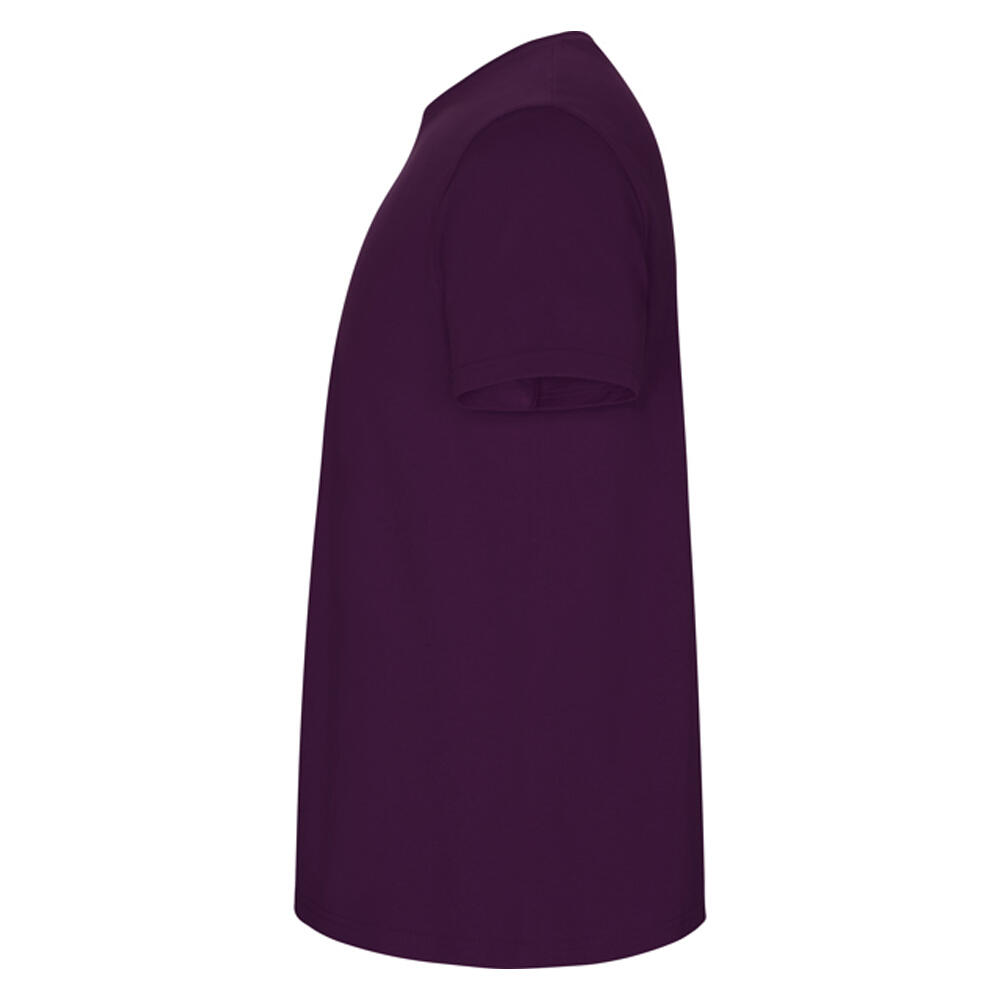 Tshirt STAFFORD Homme (Violet) 3/4
