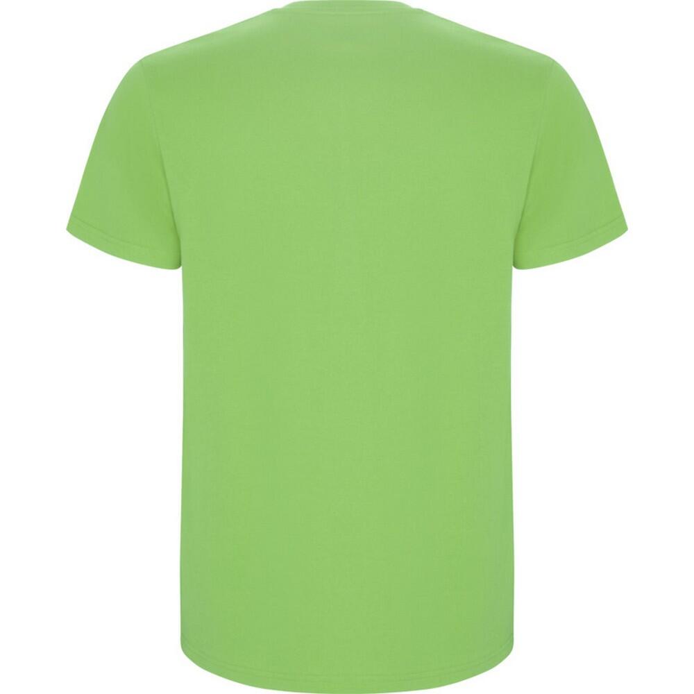 Maglietta Bambini Roly Stafford Verde Oasi 2/4