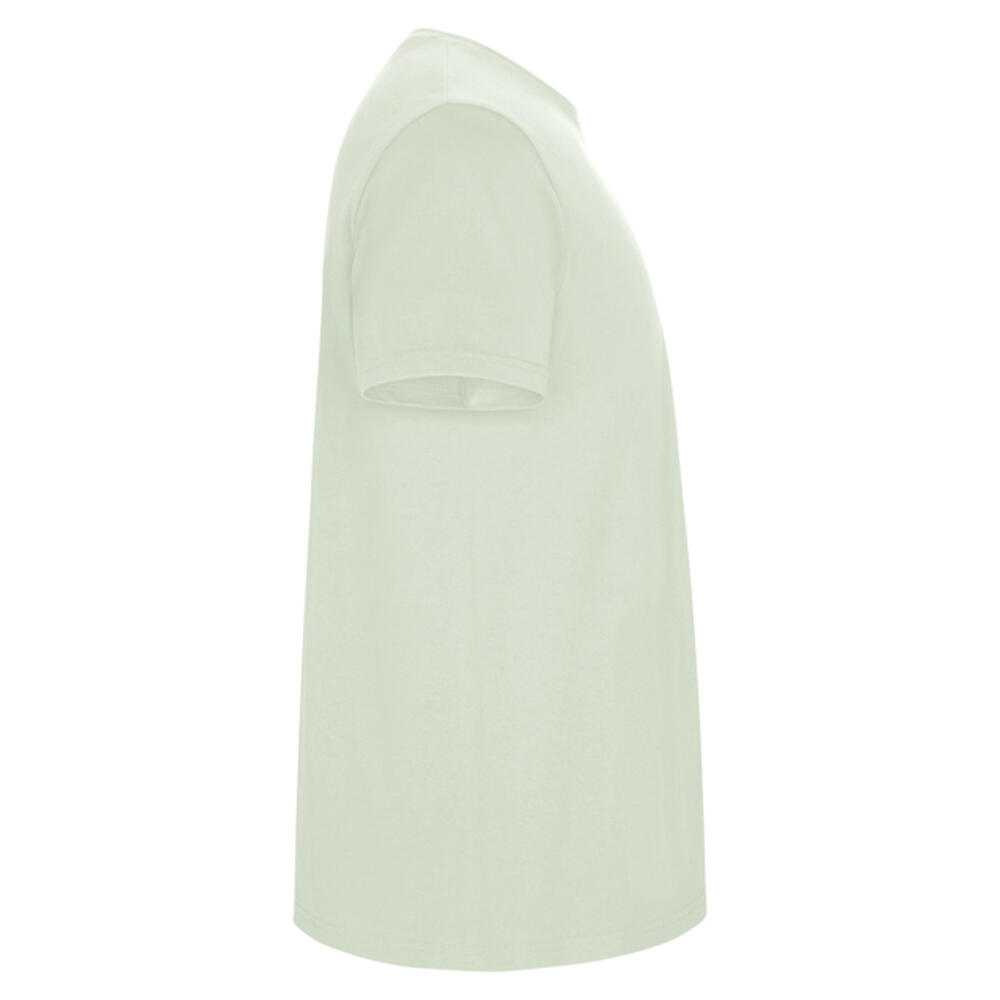 Tshirt STAFFORD Homme (Vert Brume) 4/4